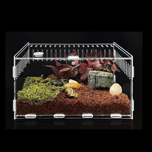 Topspitgo Akryl Transparent Terrarium (30 x 20 x 15 cm) för Sniglar, Spindlar, Gecko, Hamster, Ormar, Sköldpaddor och Reptiler
