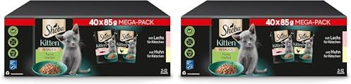 Sheba Katzen Nassfutter für Kitten im Portionsbeutel Feine Vielfalt mit Lachs (MSC) und Huhn in Sauce Multipack 40x85g (Packung mit 2)