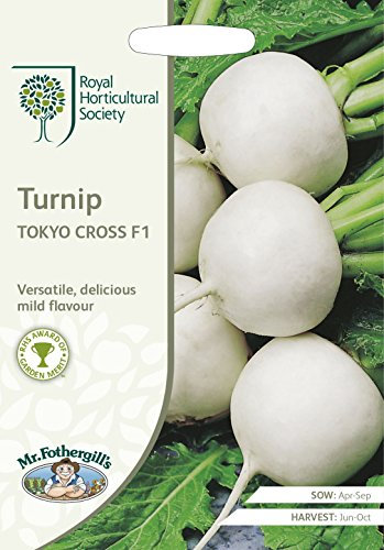 Mr Fothergills - Vegetable - RHS Turnip Tokyo Cross F1-500 Seeds