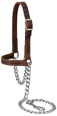 Weaver LeatherBrahma Webb® Goat Halter