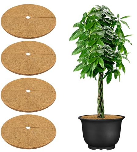 Zhiaek 4 Pezzi 30CM Fibra di Cocco per Piante Protezione Piante Disco in Fibra di Cocco Pacciamatura Naturale Protezione Invernale