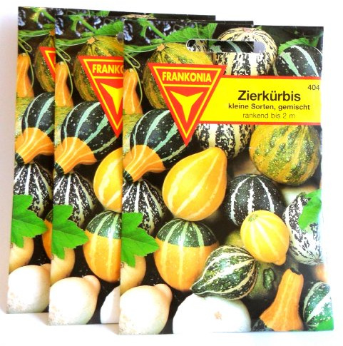 Samen für Zierkürbis, kleine Sorten, gemischt, 3-er Set