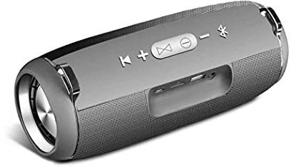 SMSOM Bluetooth Haut-parleurs, Haut-Parleur Bluetooth sans Fil Portable avec Son stéréo de 15W, Basse Active de Basse, Paire stéréo sans Fil, 8 Heures de Jeu, Or (Color : Gray)