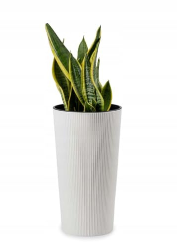 HowHomely Maceta Urbanika ECO 9,5 L, Maceta Grande, color blanco, plástico, 46,6 cm x 25,5 cm x 25,5 cm, decoración