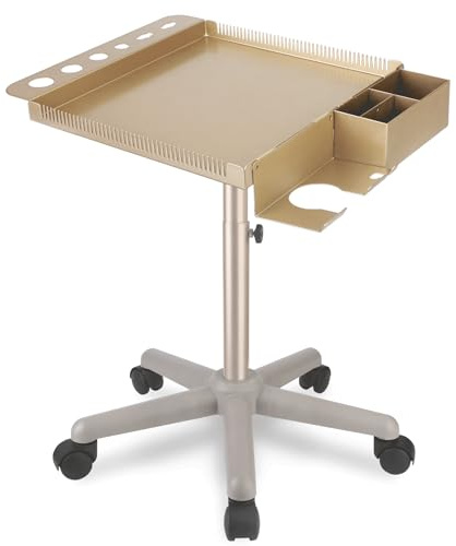 Retain Time Hair Salon Carts, Champagne Gold Salon Tray for Hair Stylist, Multi-Function Salon Tray, Salon Station(with Wheels), Large Size and Robust,Corrosion-Resistant Adjustable Color Tray.