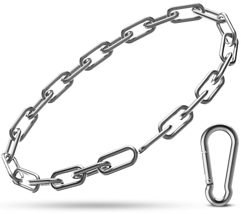 Gate Chain Lock, 23.6 Inch 304 Stainless Steel Chain Fence Gate Latch with Carabiner, Outdoor Hardware Lock Chain for Yards, Pet Cages, Horse Goat Dog Stall Barn and Fence Gates (Silver Dia 4mm-1Pc)