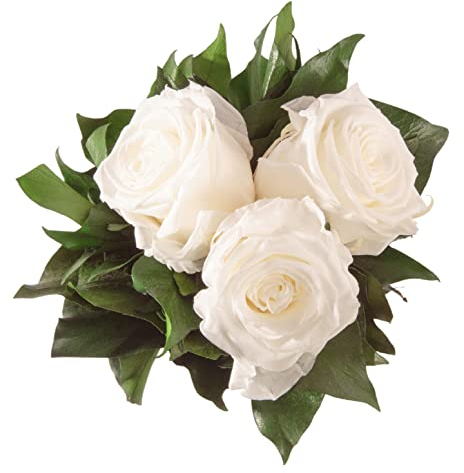 Blumenstrauss konserviert mit 3 Rosen - Rosemarie Schulz (Weiss)