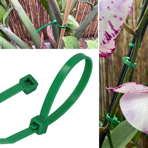 GARDENIX Bridas para plantas (100 unidades, 4,8 mm x 380 mm, verde), reutilizables, ajustables