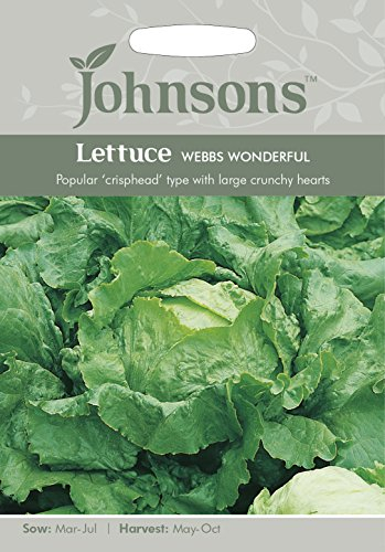 Johnsons 20486 Vegetable Seeds, Lettuce Webbs Wonderful