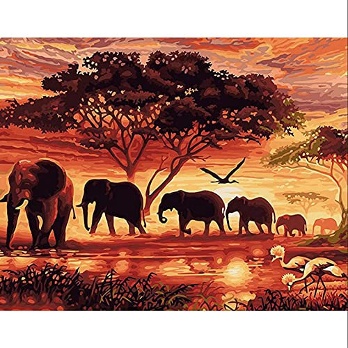 Yeerum DIY 5D Diamond Painting The Sunset The elefant full accessories, Afrika Stickerei, Diamond Painting, Komplettset, Kreuzstich, Strass, Dekoration des Hauses, 30 x 40 cm