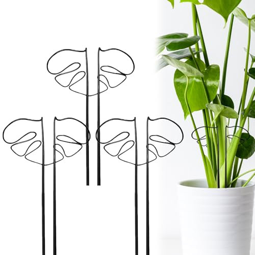 Pflanzenstütze Ringkäfige für Gartendeko, Metall Garten Monstera Pflanzenhalter, Pflanzring für Rankhilfe Zimmerpflanzen für Gemüse Tomaten Pfingstrosen Rosen Monstera Blumen (Schwarzx3)