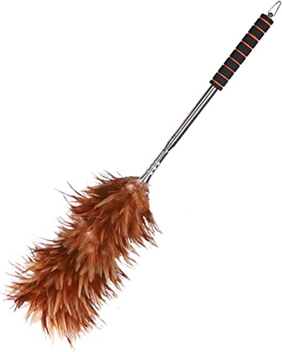 WIPPWER Ensemble Plumeau Plumeau Poulet Plumeaux Nettoyage Bureau et Ménage Duster Nettoyant Purificateur Brosse Outil De Nettoyage Poignée Plumeaux Brosses