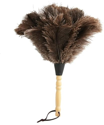 Plumero de avestruz, 35 cm Plumero de plumas de avestruz con mango de madera, plumero para zapatos antiestáticos para persianas, teclado de cocina, oficina en casa