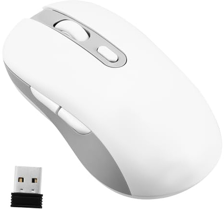 Homoyoyo Souris Ergonomique sans Fil Rechargeable Design Portable en Plastique, 800/1200/1600 Dpi, pour Ordinateur Portable et Tablette