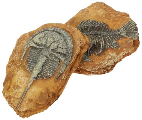 TOBBOMEY 2 Stück Reptilien Dekoration aus Hochwertigem Harz Langlebige Terrarien Fossilien für Schlangen Eidechsen und Wasserschildkröten Kreatives Landschaftsdekor für Lebendige