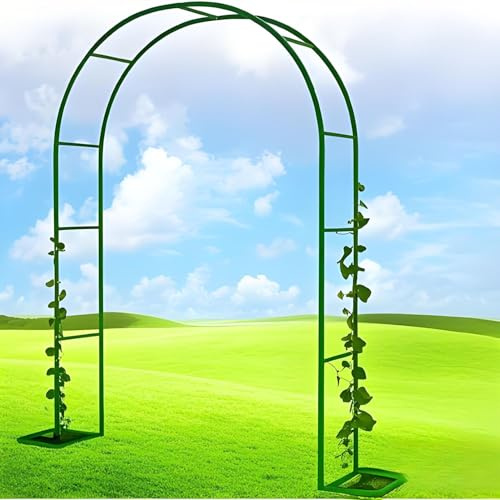 Arche de jardin pour plantes grimpantes, treillage en métal pour roses, tonnelle de mariage, pergola de jardin, vert, 240 cm de large x 220 cm de haut, parfaite pour les événements et l'aménagement
