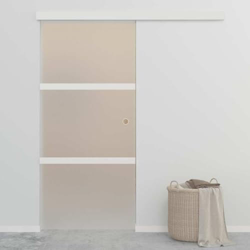 Schiebetürsysteme Glas Aluminiumglas 90x212 cm Silbern ESG-Glas Schiebetür 1 Stück mit Schiene und Türstopper