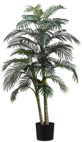 5' Golden Cane Palm Tree x2 w/31 Leaves in Plastic Pot Green (Pack of 2)
