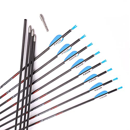 ACCMOS Bogensport Reinem Carbon Pfeil Spine 1000 ID 4,2 mm Jagdpfeil,29inch, für Recurve Bogen Compoundbögen Traditioneller Bogen 12 St (Spine 1000, 29inch)