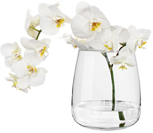 TREND FOR HOME Tulpen Blumenvase Glas vas für Tulpen Vase Rund Durchsichtig Tulpenvase Vas Bauchig Tischvase Glasvasen Durchsichtige Vase Blumenvasen | H: 17 cm | ⌀ 11.9 cm | Zinnia