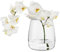 TREND FOR HOME Vase en Verre Transparent Rond pour Fleurs Séchées Pampa Rose Muguet Jacinthe, Décoration Maison, H: 17 cm, ⌀ 11.9 cm, Zinnia