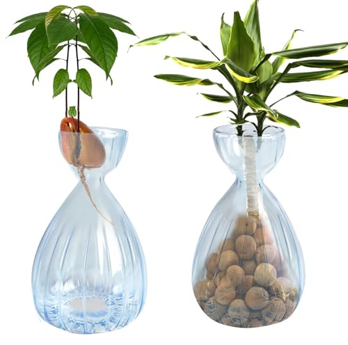 YWNYT Lot de 2 vases de démarrage de graines d'avocat, vase en verre d'avocat, vase de fleurs d'avocat, vase de culture pour avocat, vase hydroponique, décoration de table d'intérieur (bleu)