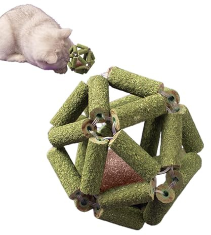 Jouets à herbe à chat pour chat, jouet interactif à l'herbe à chat, jouets de sol résistants aux morsures, jouet pour chat sûr, balles de cage à bâton pour toutes les races