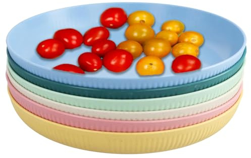 ZXNJA 6 Stück Plastikteller Mehrweg,20cm Campingteller,Unzerbrechliches Speiseteller Set,Kunststoffteller,Plastik Teller,Mehrweg Mikrowelle Spülmaschinenfest,für Picknick,Camping,Garten,im Freien