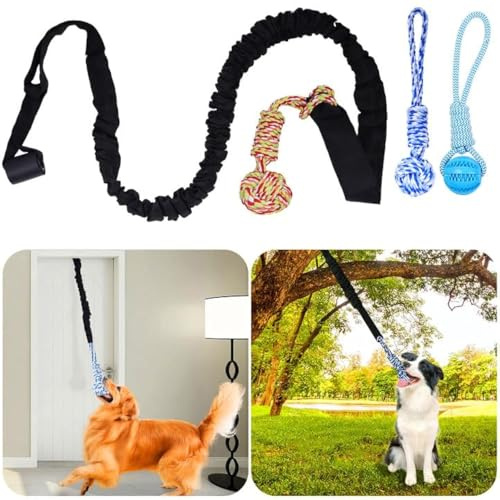 LovelyPaws Federstange für Hunde, Seilspielzeug, hängender Baum, Zerrspielzeug, interaktives Haltegurt für drinnen und draußen, mit 3 Kauspielzeugen für Hunde