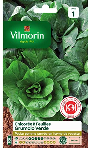 Chicorée à Feuilles Grumolo Verde - Cuisine du Monde