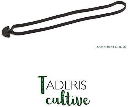 Taderis Cultive Goma Ancla elástica número 20 para entutorar. Bolsa 125 Unidades. Caucho EPDM