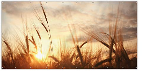 MuchoWow® Balkon Sichtschutz Sichtschutzmatte Balkonbanner Abdeckung für Terrasse Balkon Windschutz Blickdicht Wetterfest 300x130 cm Schilf - Gras - Sonnenuntergang - Natur - Horizont