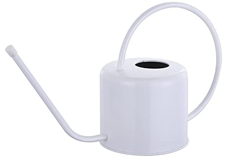 Wasserkanne aus Edelstahl mit langem Mund und Griff, Bewässerungskessel, Behälter für drinnen und draußen, Garten, Hof, Pflanze, Metalldose für Zimmerpflanzen