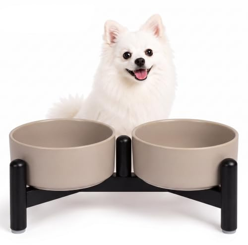 Futternapf Hund Erhöht Hundenapf Set - Ideal für Kleine Hunde und Katzen - Doppelte Fressnapf Keramik mit Edelstahl Ständer für Futter und Wasser - 160 g（320 ml） x 2 - Grau