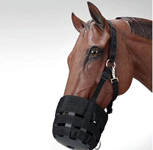 Other Wirtschaft grasen Maulkorb mit Halfter Pferd
