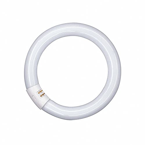 NCC-Licht Lámpara fluorescente, forma de anillo, T9 L, 32 W/827 G10q, blanco cálido, 2700 K