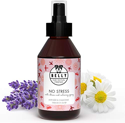 Belly - Anti Stress Spray Beruhigungsmittel für Hunde - Hunde Beruhigungsmittel wirkt wie Baldrian für Hunde - auch für Welpen - einfacher als Tabletten,Hunde Relax Spray,Beruhigungsmittel Hund 250ml