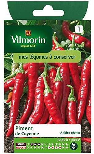 Vilmorin - Piment de Cayenne