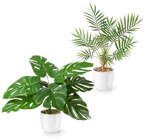 PASCH® Set med 2 monstera konstgjord och Areca konstpalm (35 cm) i vita keramiska krukor: Konstgjorda växter som riktiga | konstgjorda växter i kruka | falsk växt + konstgjord palm | konstgjorda