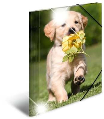 HERMA 19327 Collector's Folders A4 Animals Dogs, Pack of 3, Children's Corner Folder Made of Plastic with High-Gloss Look, Inner Print & Elastic Band, Sturdy Plastic Folding Folder Set for Boys and