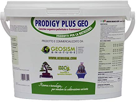 Prodigy Plus 1/3 mm (1 kg), engrais granulé pour bonsaï, plantes et fleurs