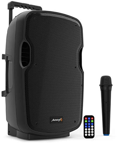 Audibax Denver Speaker Combo Port 10 VHF. Cassa Bluetooth con USB/SD - Trolley System, Batteria + Cavo CA 12 V - Schermo LCD - Microfono Wireless, Nero