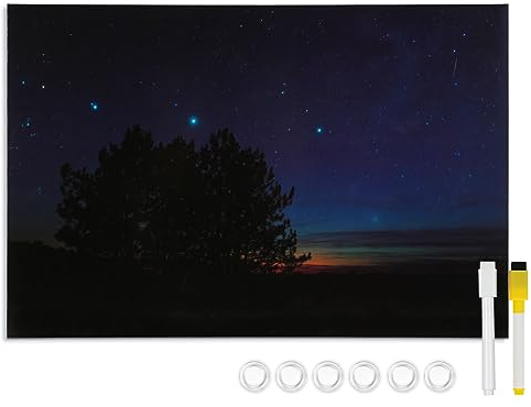 DOLLAR BOSS Magnetisches Whiteboard, 50 x 70cm Magnettafel für die Wand, Drucken Magnetpinnwand Memoboard mit 6 Magnete, 2 Stifte