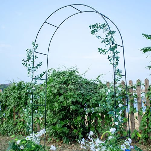 Pergola en métal antirouille vert foncé - Cadre d'arche de jardin stable - Treillage de mariage avec supports de base - Plantes grimpantes - Décoration de fête en plein air (l x H 350 x 250 cm)