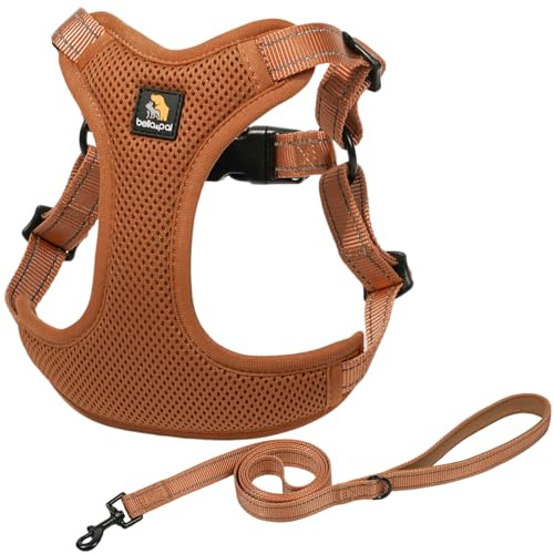 BELLA & PAL Hundegeschirr und Leine Set, Step-in Design mit atmungsaktivem Air-Mesh, reflektierenden Streifen, verstellbar für XS/kleine/mittelgroße Hunde, sicherer Schnallenverschluss