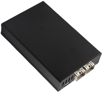 Tnfeeon Scheda di Rete Portatile 25G, Scheda di Rete USB4 Ad Alta velocità in Lega di Alluminio per Trasferimento Rapido dei Dati e connettività Senza Interruzioni per Utenti OS X e (Doppia porta)