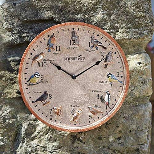 Smart Garden Birdberry 12in Wall Clock