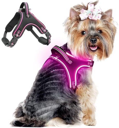 Light Up hundsele lysande uppladdningsbar, LED-hundsele med handtag, reflekterande bröstsele för att hålla dig säker på natten för medelstor liten stor hund (rosa, S)