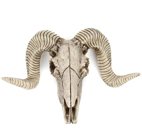 KGADRX Resin Skeleton Ram Sheep Head Skull Model Head Wall Hanging Animal Longhorn Sculpture Figurines Crafts Horns Home Decor Ornaments