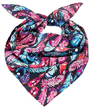 bb-Klostermann NICKITUCH/BANDANA 50x50cm 43004 bunt Federn